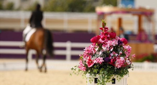 Para-equestrian dressage