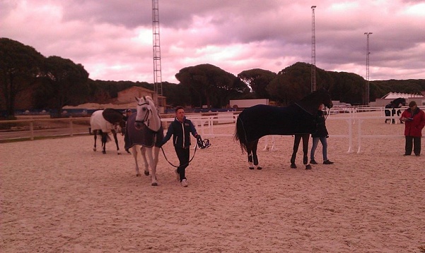 Vidauban Dressage Festival: first results