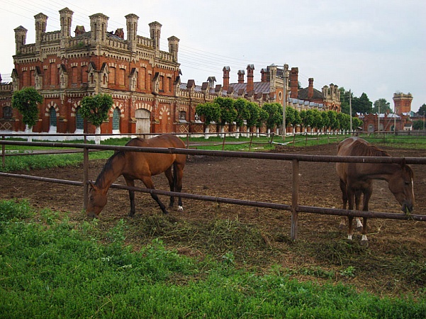 Starozhilovsky horse breeding plant