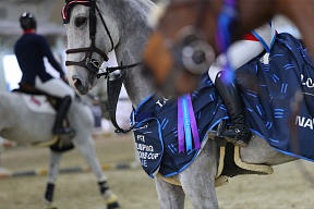 Международная федерация конного спорта опубликовала критерии допуска к соревнованиям российских и белорусских спортсменов.