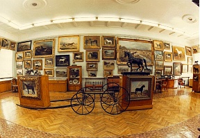 Gadhafi's gift and other exhibits of the museum of horse breeding 