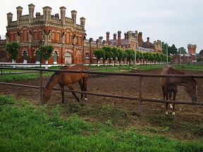 Starozhilovsky horse breeding plant